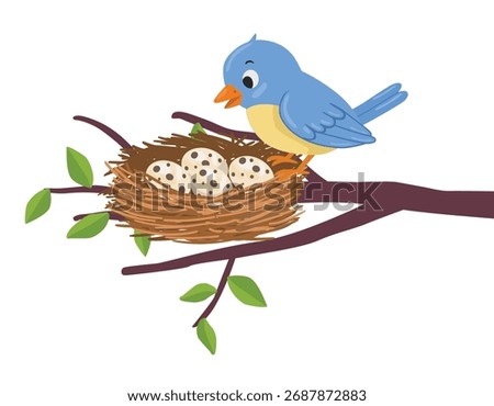Bird at the bird nest with eggs on the tree branch
