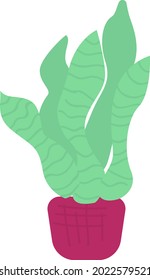 Bird nest fern plant semi flat color vector object. Full sized item on white. Potted tropical-like houseplant isolated modern cartoon style illustration for graphic design and animation