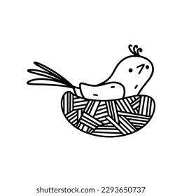 Bird in the nest in hand drawn doodle style. Vector illustration isolated on white background.