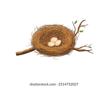 Bird nest holds eggs n a tree branch. hand drawn style