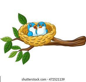 Bird in the nest isolated on white background