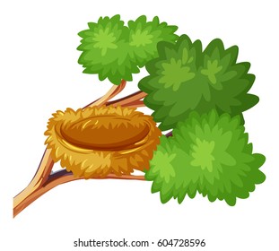 Bird nest on the branch illustration