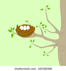 A bird nest on a tree with branches and green leaves