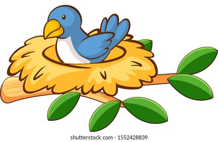 Bird in nest on white background illustration