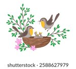 Bird nest with screaming chicks and caring parents. Robin birds on a branch feed their chicks with worm. Flat vector illustration of spring birds family.