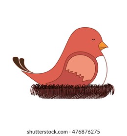 bird nest sleep design