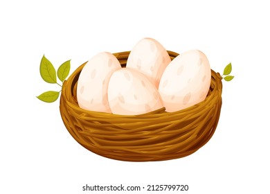 Bird nest from sticks with eggs decorated with leaves in cartoon style isolated on white background. Spring clip art, nestling. new life.