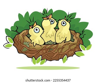 bird nest vector pro illustration