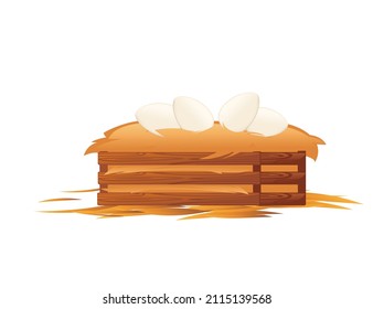 Bird nest in wooden box with white eggs vector illustration on white background