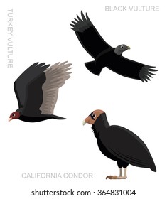 Bird New World Vulture Set Cartoon Vector Illustration