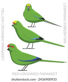 Bird New Zealand Parakeet Parrot Vector