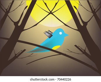 bird in night