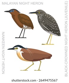 Filme de Desenho Animado de Bird Night Heron Asian Set