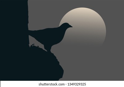 bird in the night illustration