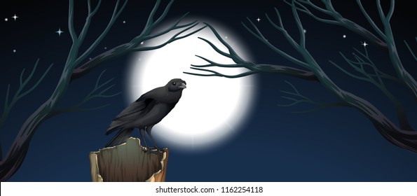 Bird in night scene illustration