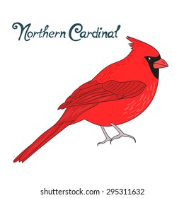 Bird northern cardinal vector illustration