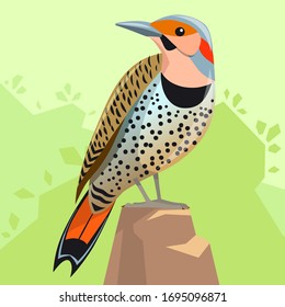 Bird - Northern Flicker, sitting on a background of green forest. A bird of the woodpecker family, a symbol of Alabama. Bright image in cartoon style. Vector, stock.