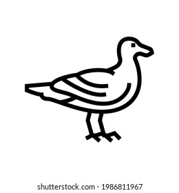 bird ocean line icon vector. bird ocean sign. isolated contour symbol black illustration