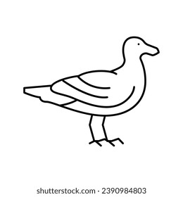 bird ocean line icon vector. bird ocean sign. isolated contour symbol black illustration