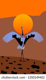 Bird on the background of a beautiful sunset