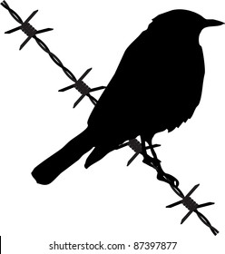 Bird On The Barbed Wire