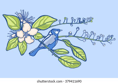 Bird on a blossoming apple tree. Spring.