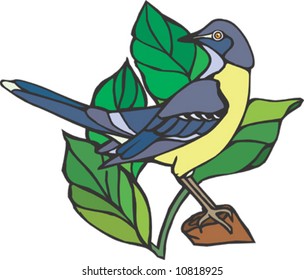 Bird on branch