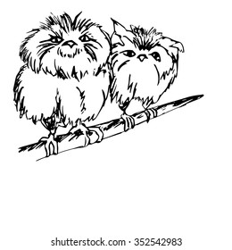Bird on a branch