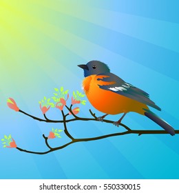 bird on a branch