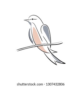 Bird on a branch abstract black lines contours and colored spots. A vector illustration on a white background.