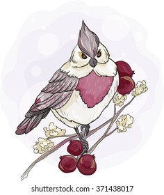 bird on a branch with berries