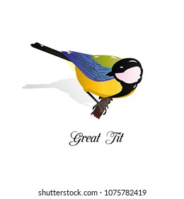 Bird on a branch. Big tit. Cartoon on a white background, vector