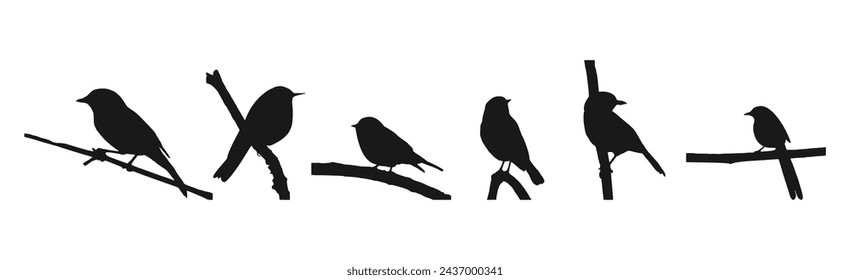 bird on branch. black isolated white background