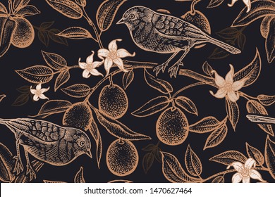 Bird on a branch of citrus tree. Seamless vector background with fruits and kumquat flowers. Pattern with plants and birds. Vintage. Print gold foil on black.