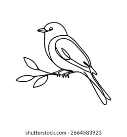 Pájaro en rama continua de una línea de dibujo. Pájaro Robin.