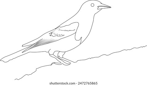 bird on a branch drawing by one continuous line, birds sitting on a branch one continuous line drawing vector, Bird on Hand in One Line Art Drawing.
