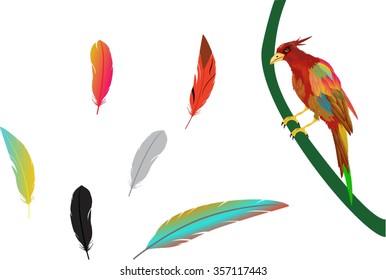 Bird on branch and feathers isolated on white vector