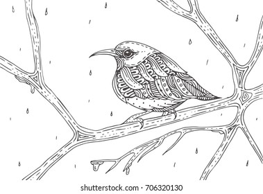 Bird on a branch. Hand-drawn with ethnic floral doodle pattern. Coloring page - zendala for adults, vector illustration, isolated on a white background. Zen doodles.