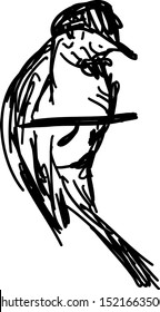 Pájaro en rama, ilustración, vector sobre fondo blanco.