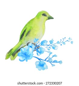 Bird on branch. Isolated on white