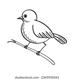 Bird on branch line art. Cute little forest bird. Exotic feathered. Hand drawn vector sketch illustration.