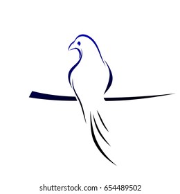 A bird on a branch, lines. Crow image, vector illustration
