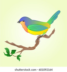 Bird on branch Spring background vector illustration
