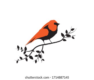 Bird on Branch on sunset, Vector. Robin Bird Silhouette. Wall art, artwork. Nature Art Design, Wall Decor isolated on white background. Wall art work
