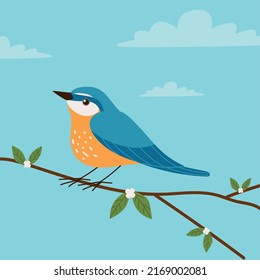 bird on the branch tree