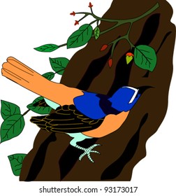 bird on a branch, vector background