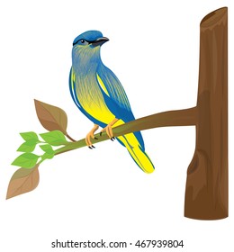 bird on branch vector design