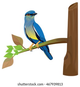 bird on branch vector design