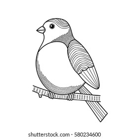 Bird on the branch. Vector illustration for coloring.