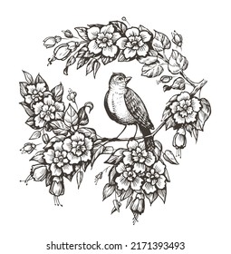 1,446 Nightingale drawing Stock Illustrations, Images & Vectors ...